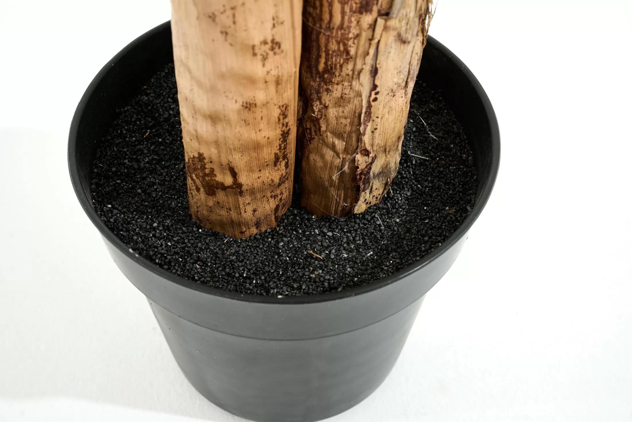 Flamant Decoratie | Bananenboom, Plant