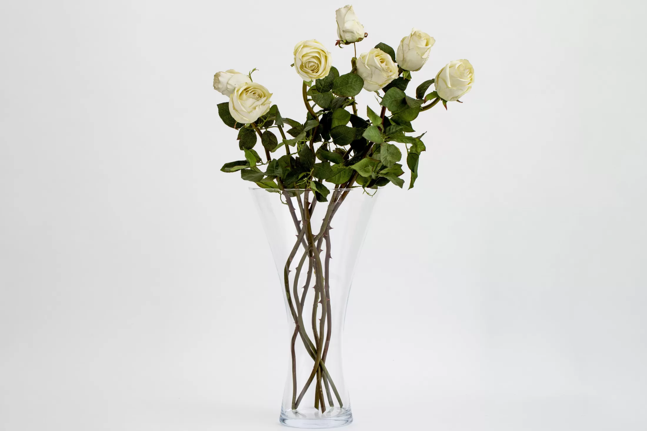 Flamant Decoratie | Belluno, Vaas, Glas, L