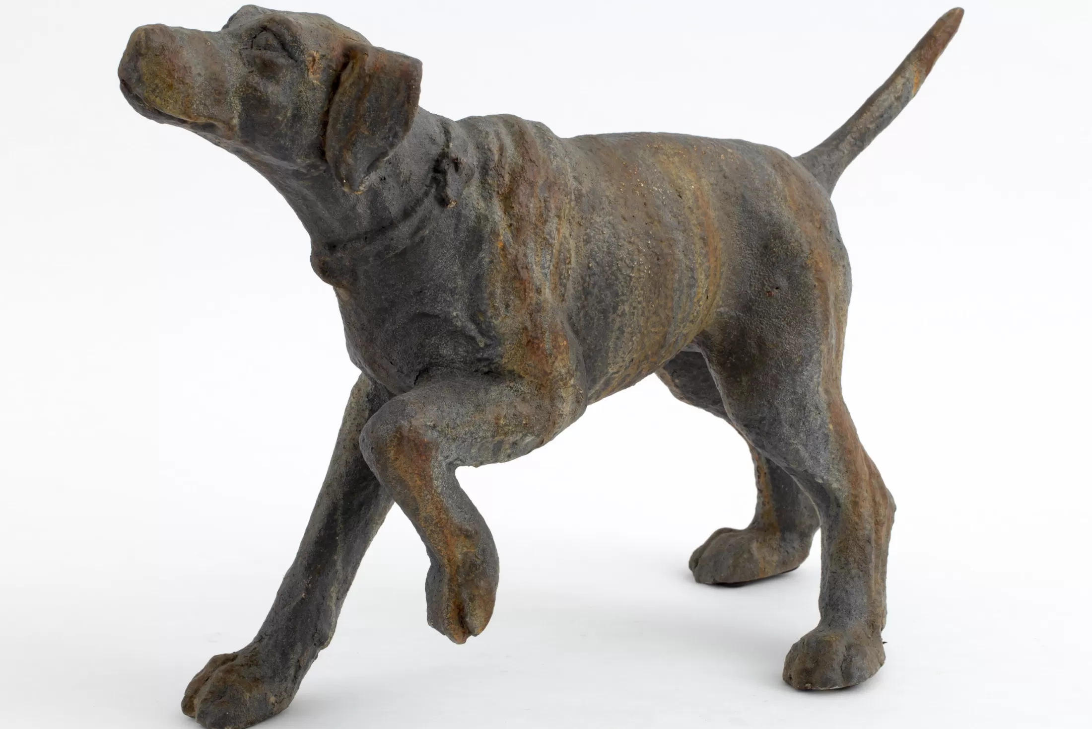 Flamant Decoratie | Blakeley, Hond