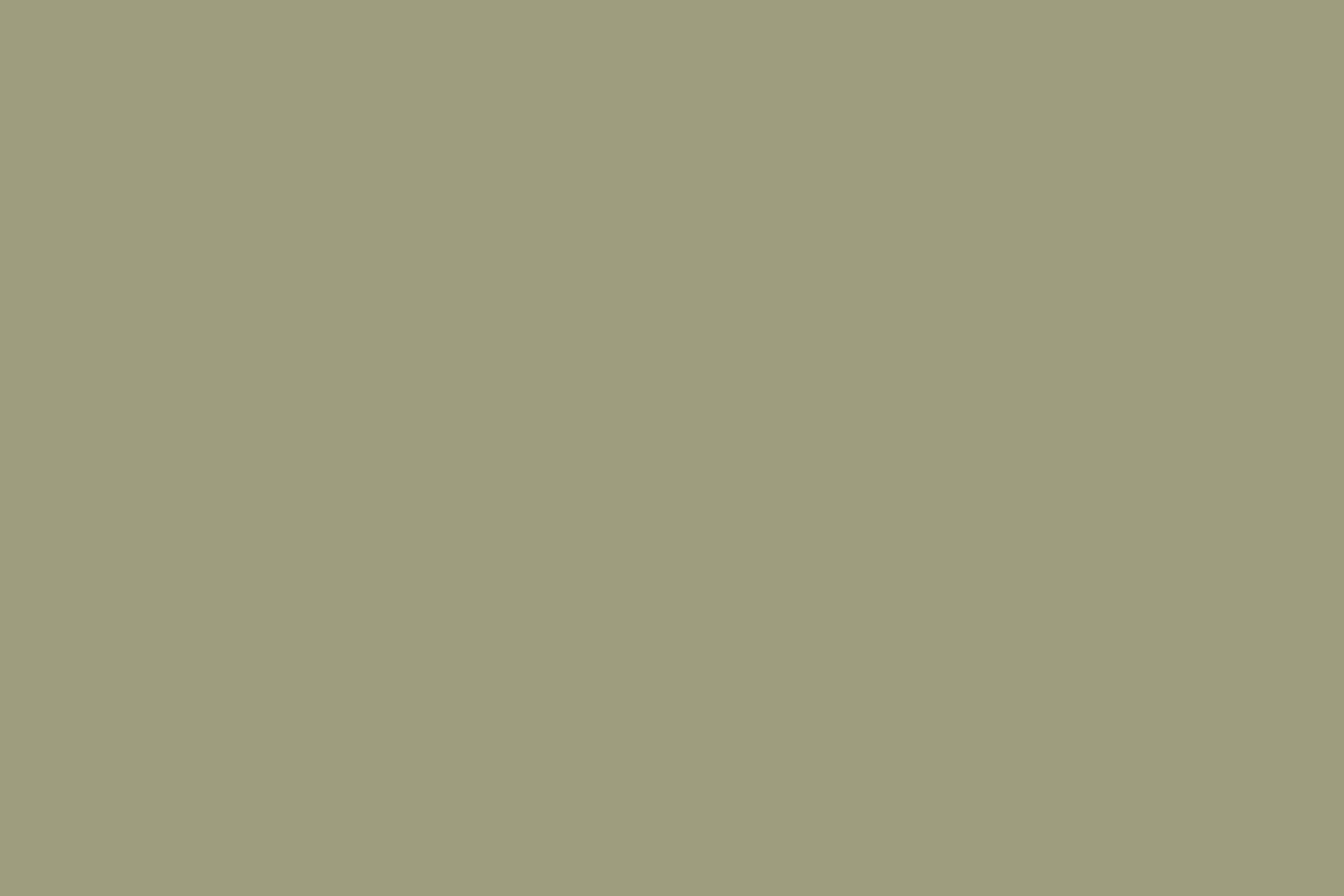 Flamant Groente | Cactus