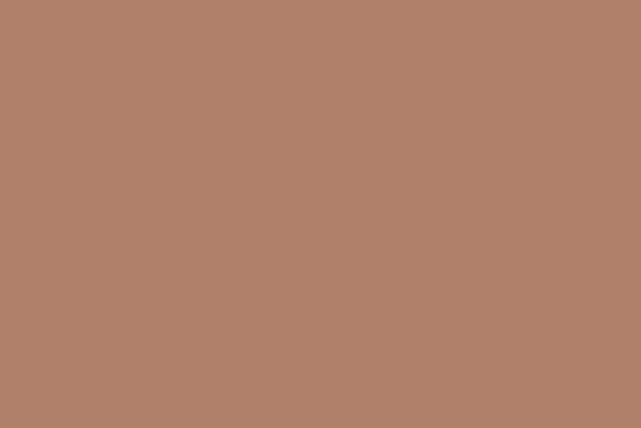Flamant Rood | Dakar