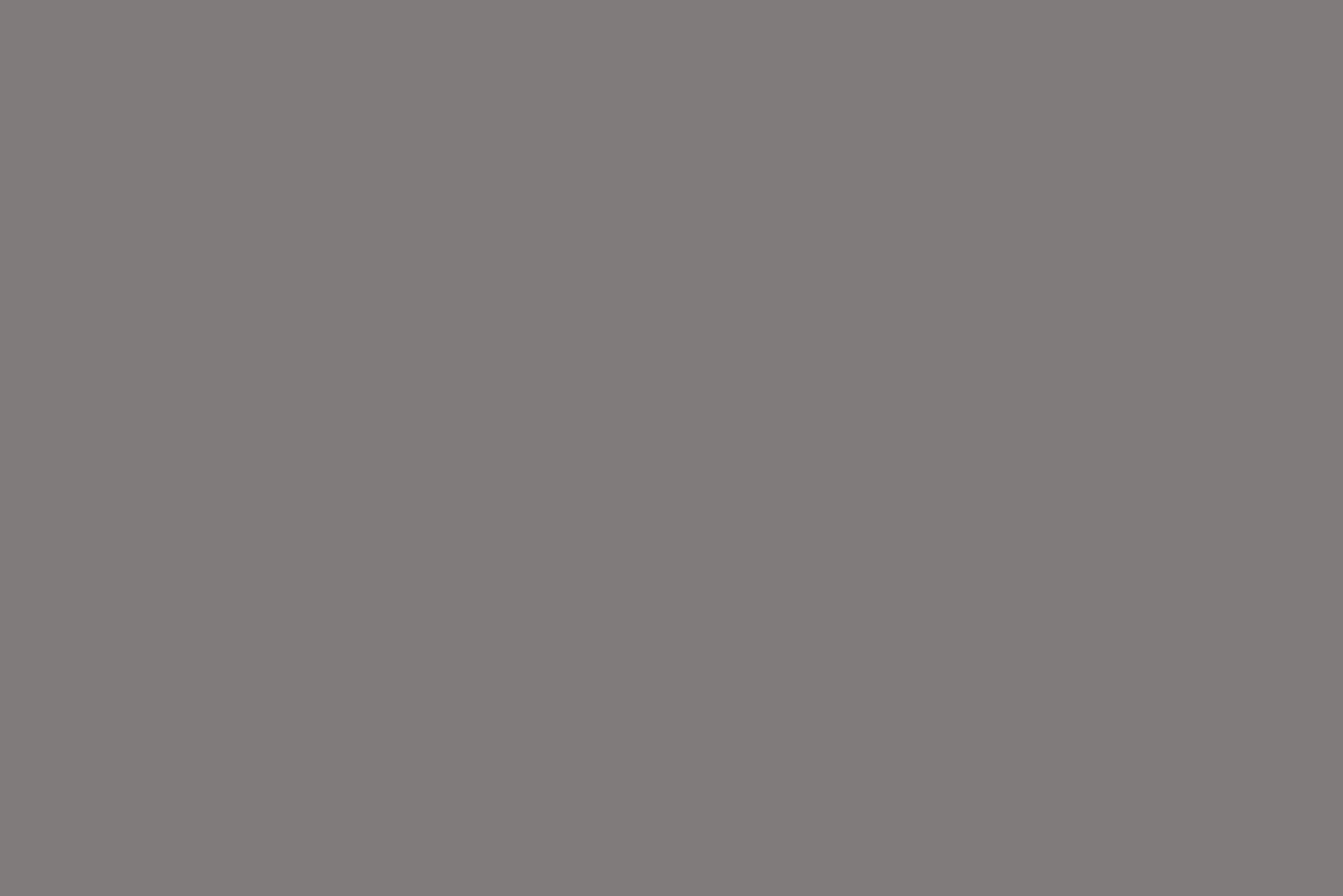 Flamant Beige/Grijs | Heer