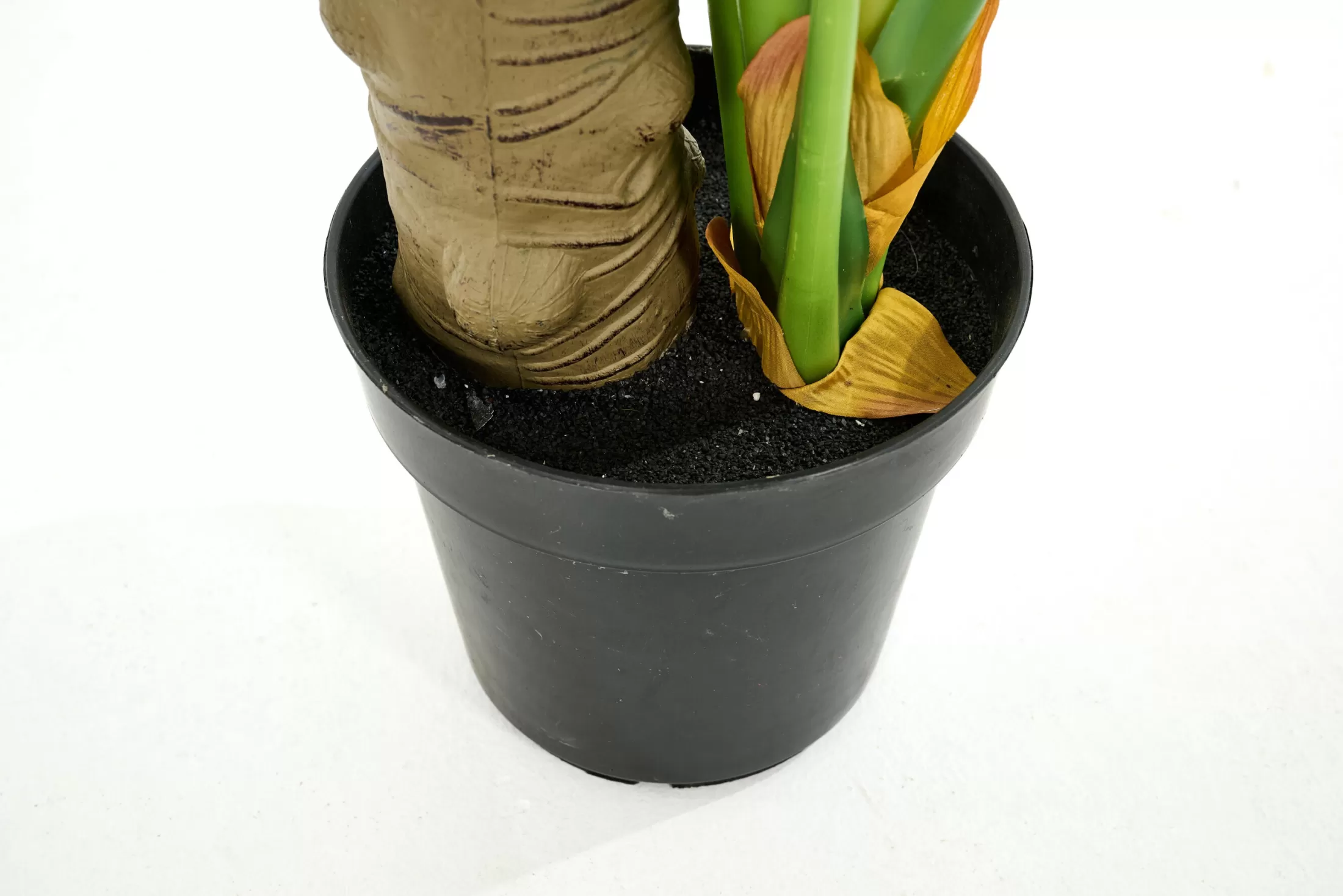 Flamant Moederdag | Monsteraplant, Plant