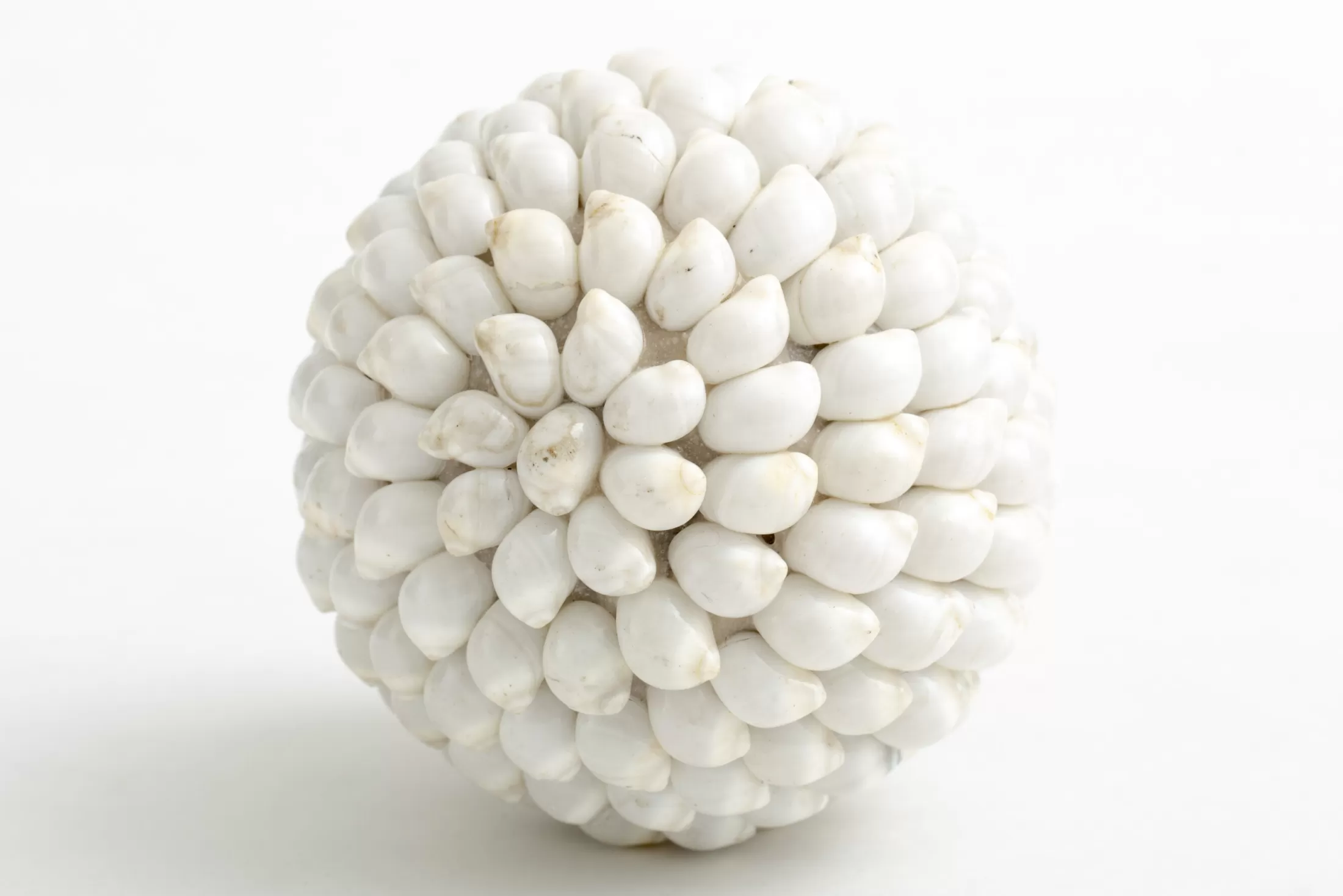 Flamant Moederdag | Nalani, Decobal, L