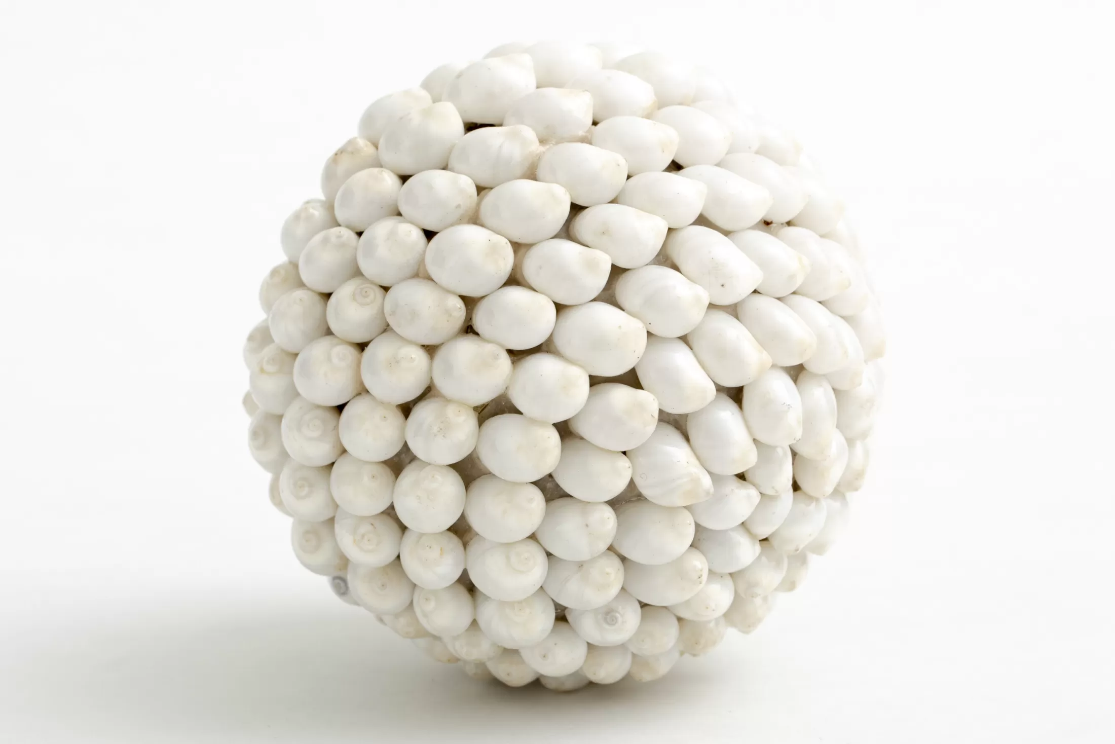 Flamant Moederdag | Nalani, Decobal, M