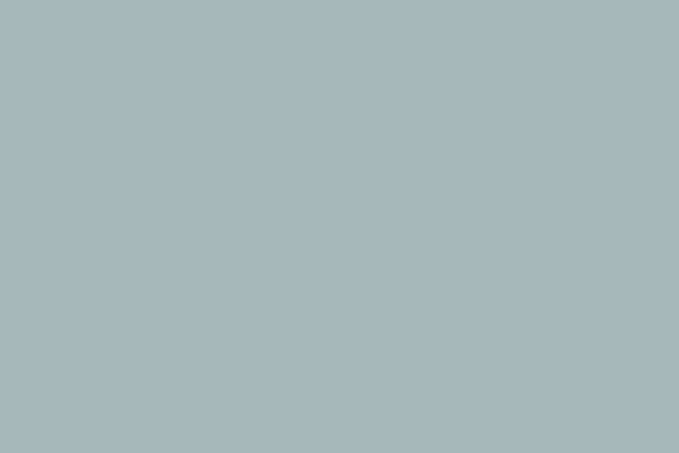 Flamant Blauw | Oceaan