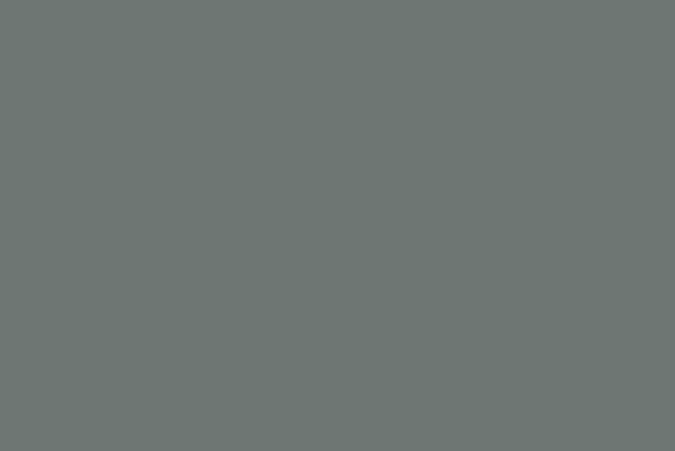 Flamant Beige/Grijs | Paves Du Nord